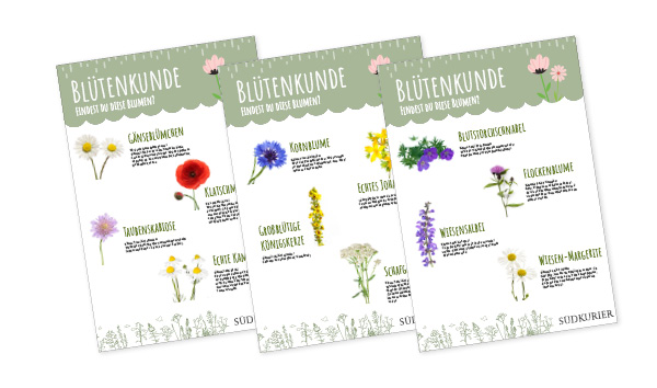 SK_Ideenbox_Blütenkunde SK_Ideenbox_Blütenkunde