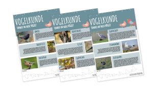 SK_Ideenbox_Vogelkunde SK_Ideenbox_Vogelkunde