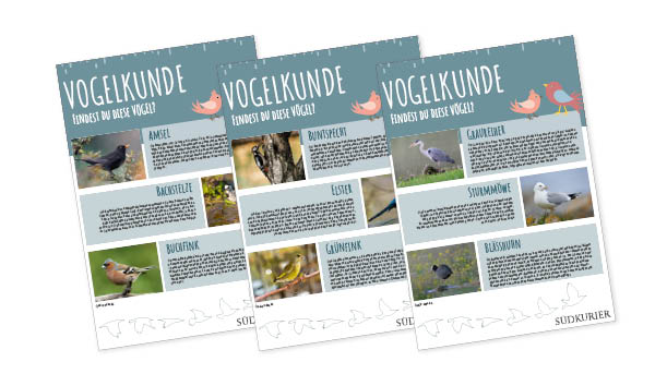 SK_Ideenbox_Vogelkunde SK_Ideenbox_Vogelkunde