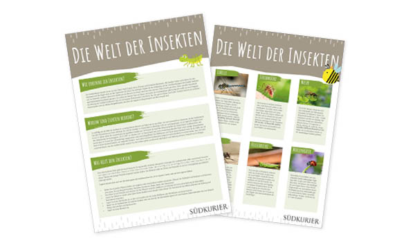 SK_Ideenbox_Insekten SK_Ideenbox_Insekten