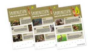 SK_Ideenbox_Spurenlesen SK_Ideenbox_Spurenlesen