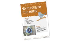 SK_Ideenbox_Wintervogelfutter SK_Ideenbox_Wintervogelfutter