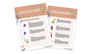 SK_Ideenbox_Frühlingsblumen_ SK_Ideenbox_Frühlingsblumen_